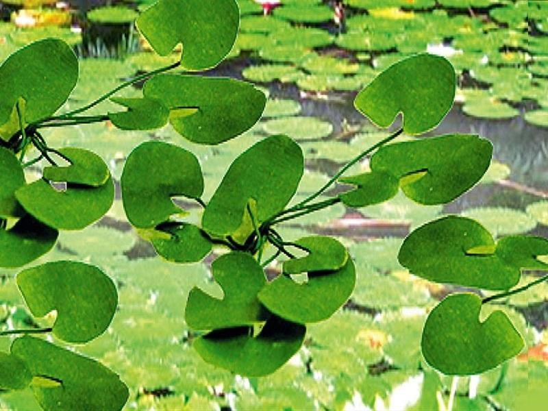 JTT 95537 Lily Pads (12pcs)