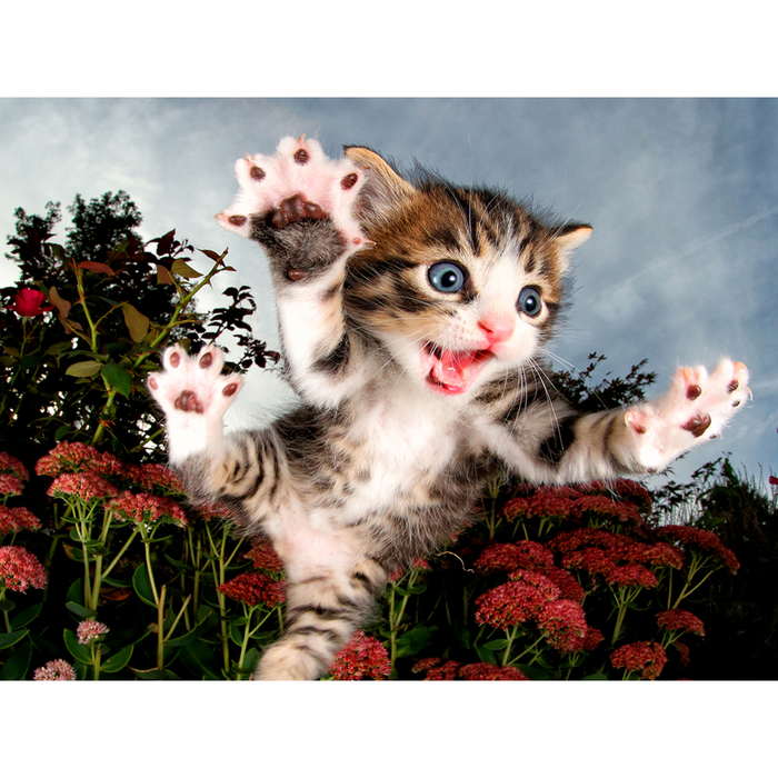 Prime3D Pounce Kitten - 100 Piece 3D Puzzle