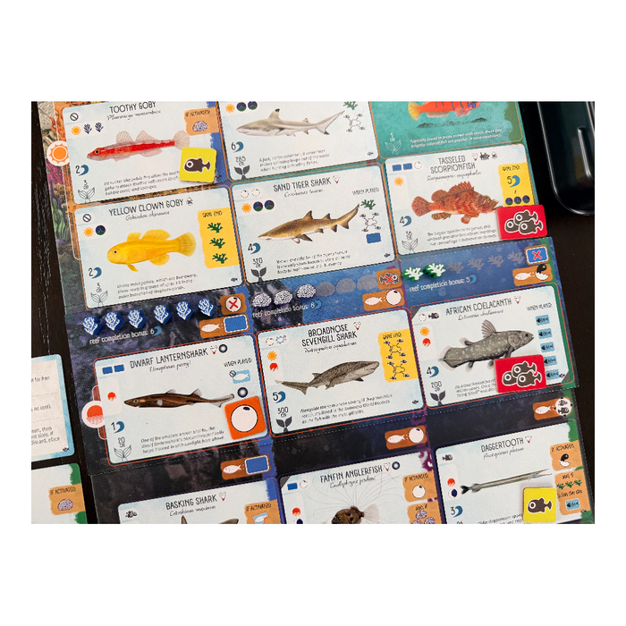 Finspan - Sharks & Reefs Expansion