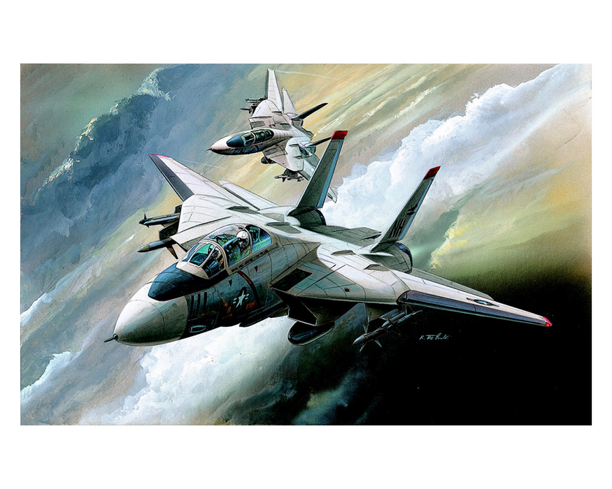 Academy 12608 1:144 F-14 Tomcat U.S.N