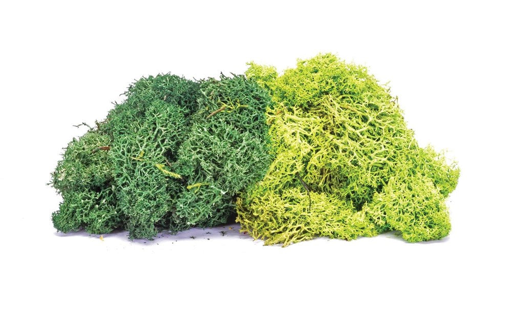 Hornby Skale Scenics R7195 Lichen - Large Green Mix