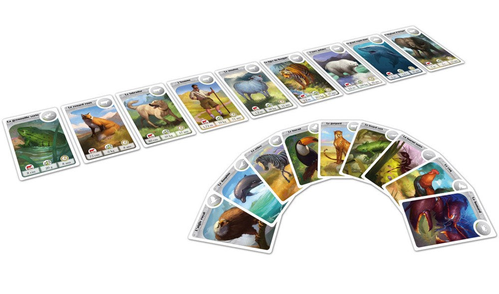 Cardline Animals