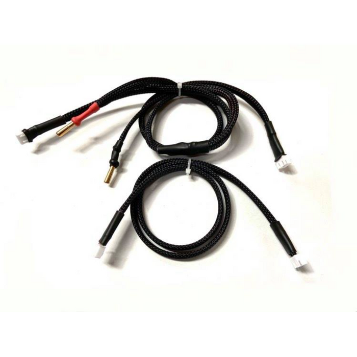RC Pro 2S Lipo/Life Receiver Pack & SCX24 Charge Lead via XH Balance Port with 4mm Bullets