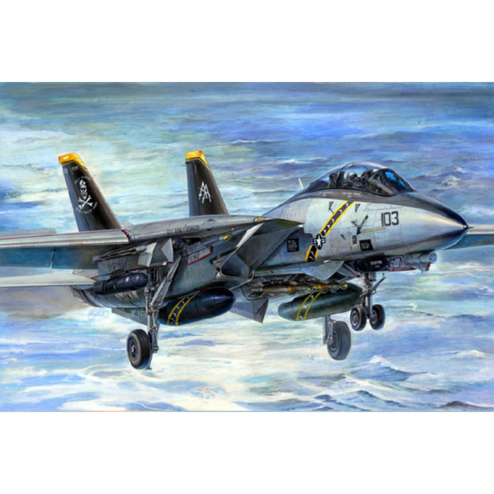 Trumpeter 03202 1:32 F-14B Tomcat