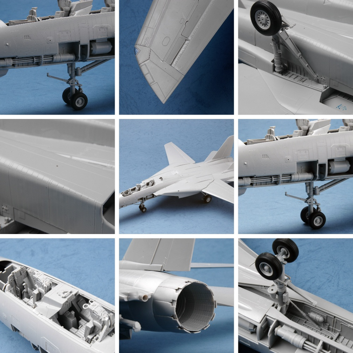 Trumpeter 03203 1:32 F-14D Super Tomcat