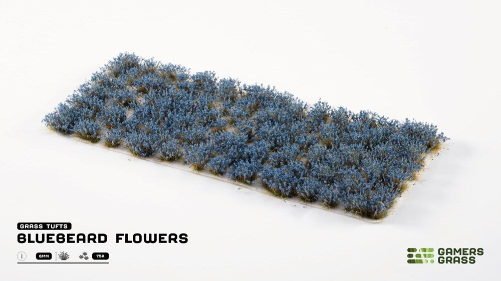Gamers Grass Bluebeard Flowers