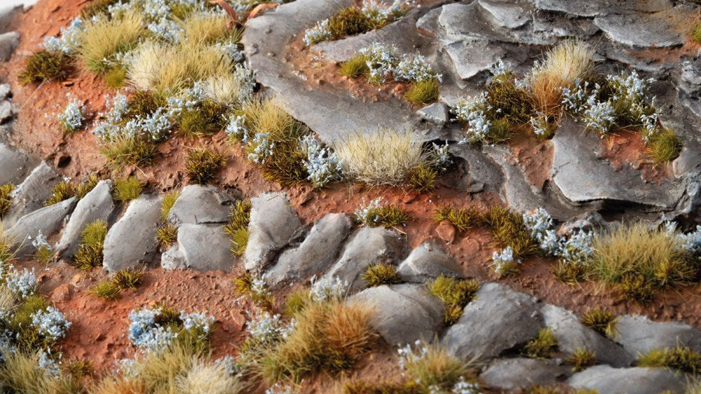 Gamers Grass Forget-me-not Tiny Flowers