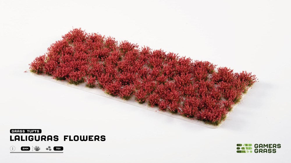 Gamers Grass Laliguras Flowers