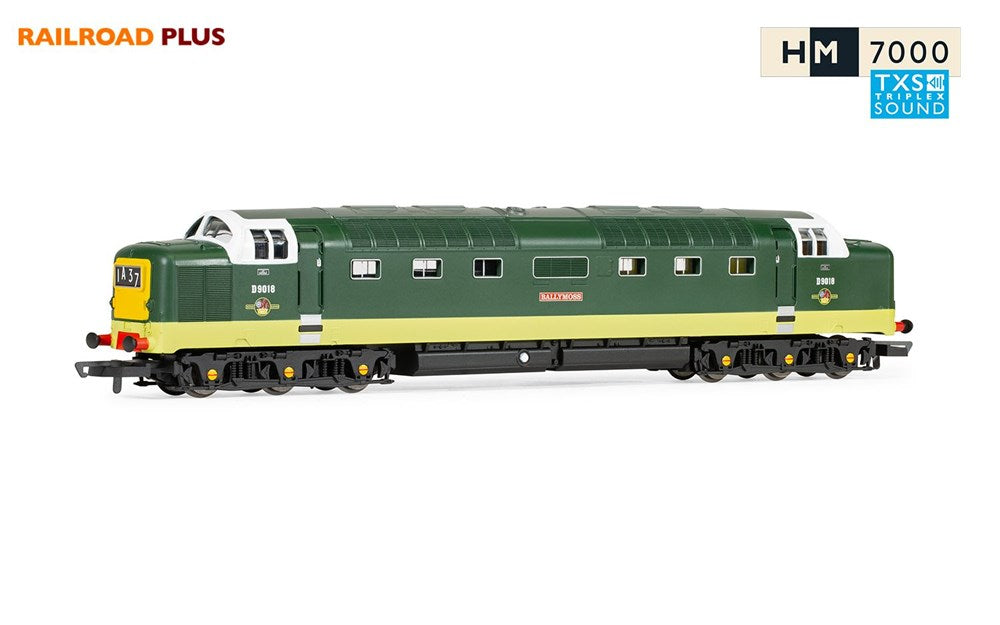 Hornby R30048TXS OO RailRoad Plus BR, Class 55, Deltic, Co-Co, D9018 ?Ballymoss?- Era 5 (TXS Sound Fitted)