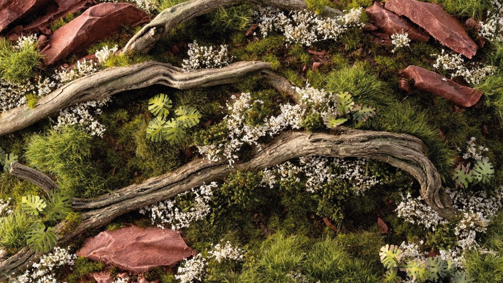 Gamers Grass White Rose Flowers