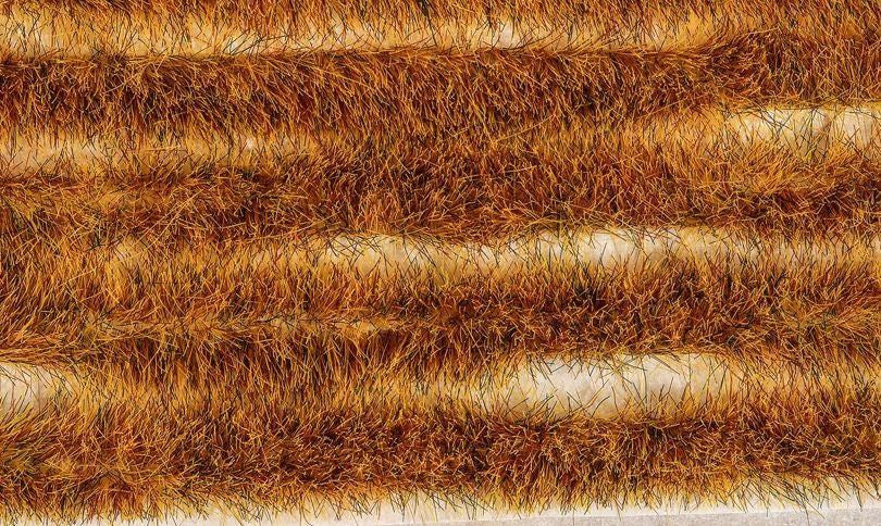 Peco PSG-37 6mm Wild Meadow Grass Tuft Strips - Self Adhesive (10)