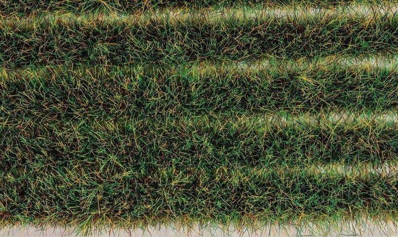 Peco PSG-48 10mm Water Meadow Grass Tuft Strips - Self Adhesive (10)