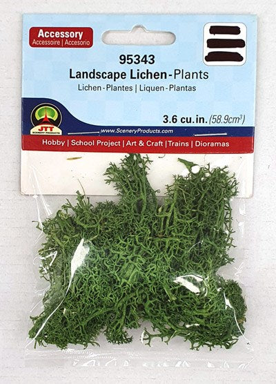 JTT 95343 Lichen Plants