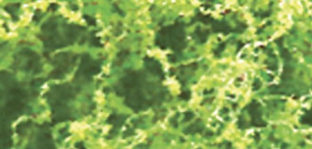 JTT 95064 Foliage-Fiber Cluster Light Green - Fine