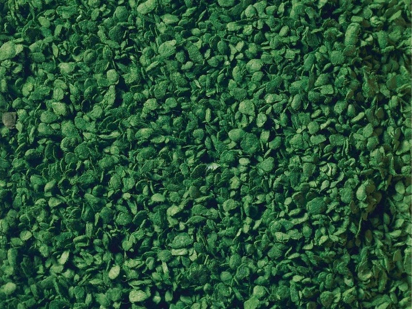 Noch 07154 Medium Green Leaves (100g Tub)