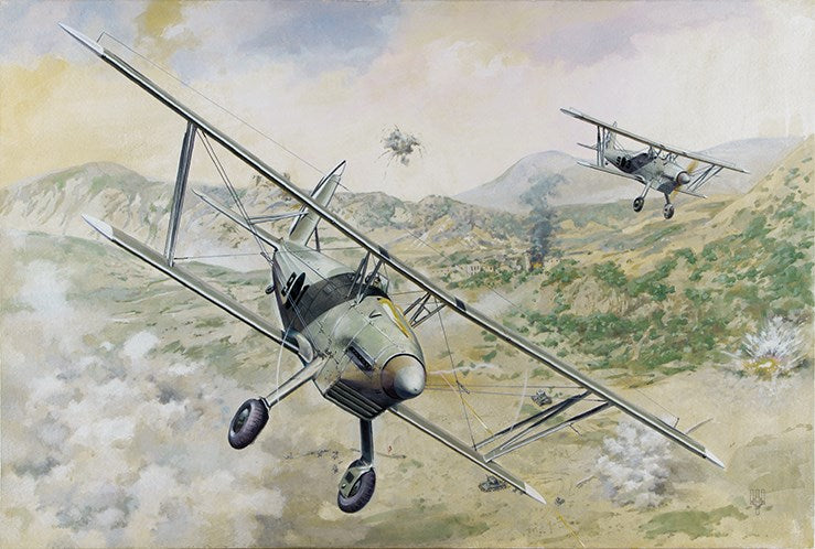 Roden 427 1:48 Arado Ar 68E